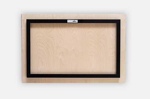 Butterfly Soars Metal print