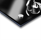 Black  White Floral Series 12 Acrylic print