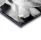 Black  White Floral Series1 Acrylic print