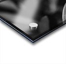 Black  White Floral Series 6 Acrylic print