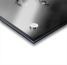 Black  White Floral Series 7 Acrylic print