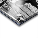 Magnificent Horse Pose 3 Acrylic print