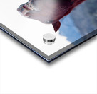 Horse Sparring 2 Acrylic print