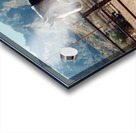 Horse and Mountains Acrylic print