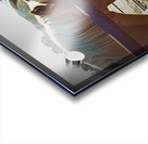 Horse Embrace  Acrylic print