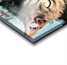 Tobi Love Acrylic print