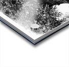 Tree Art Acrylic print