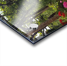 Amalfi vineyards Acrylic print