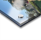 Rufus The Happy Dog Acrylic print