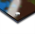 Black Butterfly Merge With The Red Flower Acrylic print