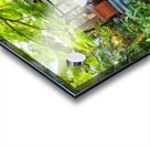 A peaceful Oasis Acrylic print