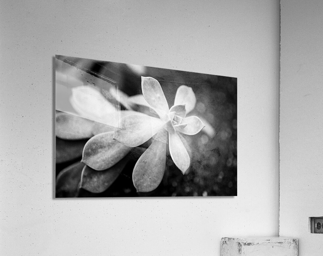 Black  White Floral Series1 Acrylic Print