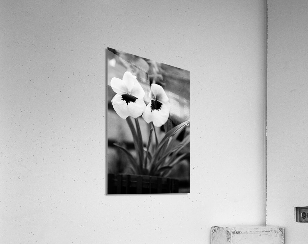 Black  White Floral Series - Double Trouble Acrylic Print