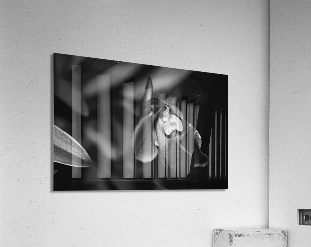 Black  White Floral Series 6 Acrylic Print