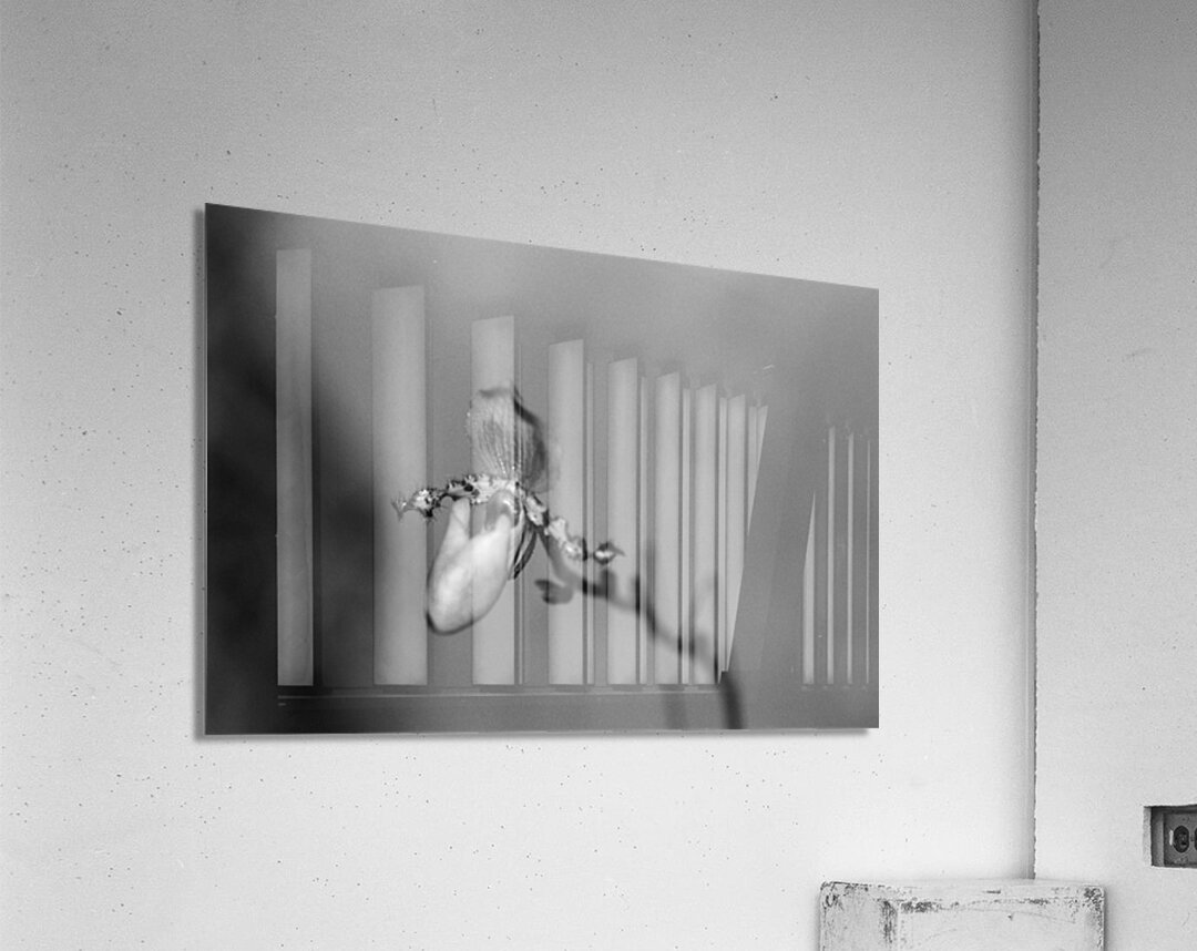 Black  White Floral Series 7 Acrylic Print