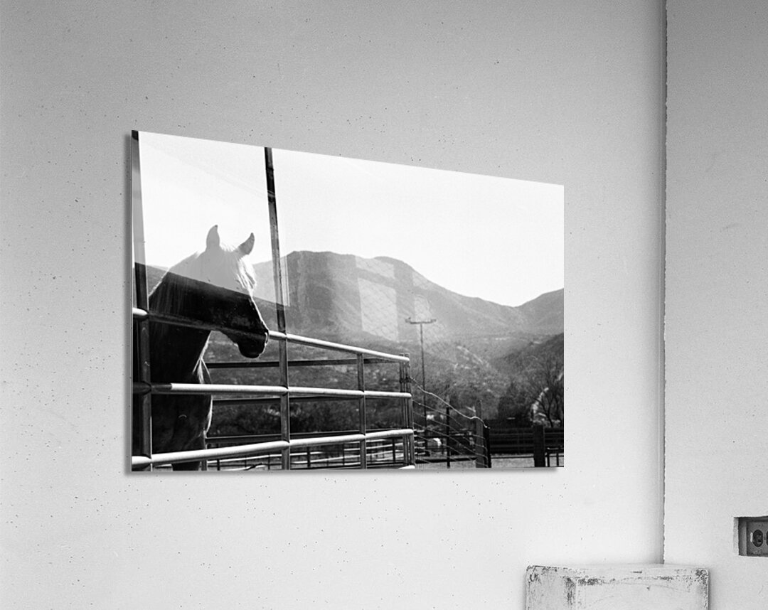 Horse amidst the mountains Acrylic Print