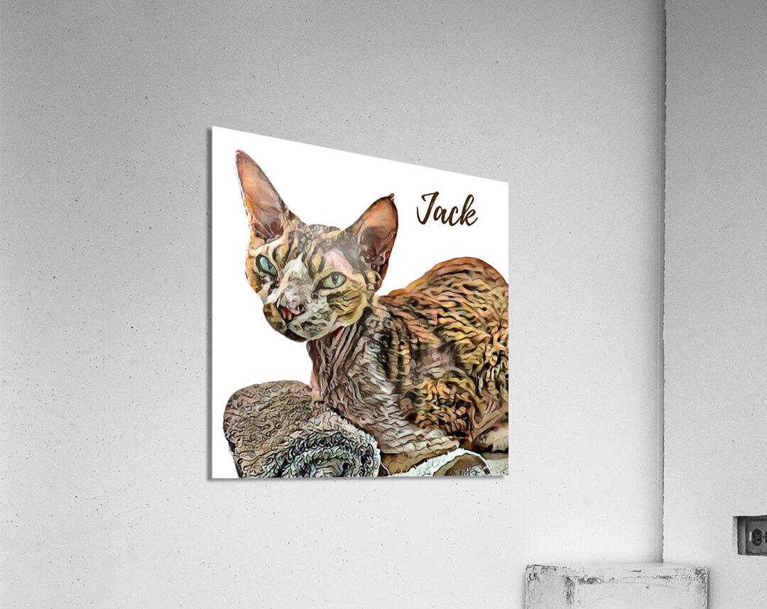 Meet Jack Acrylic Print