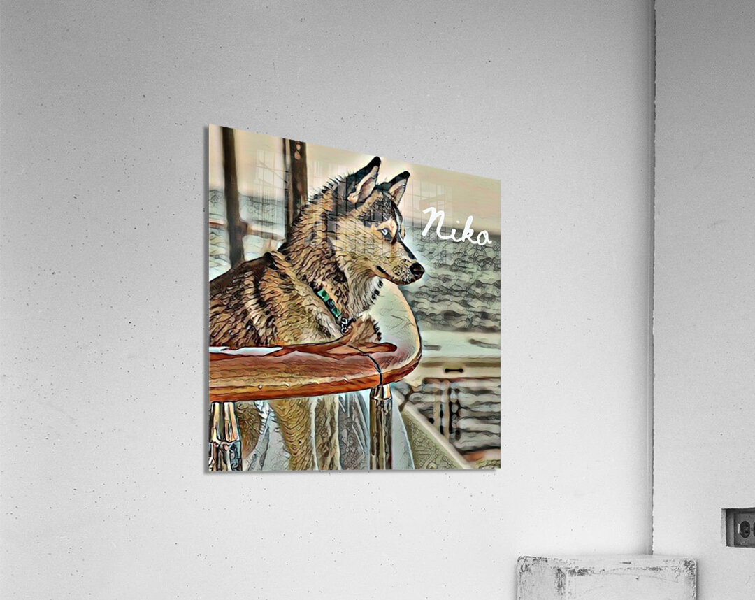 Niko Pomsky Acrylic Print