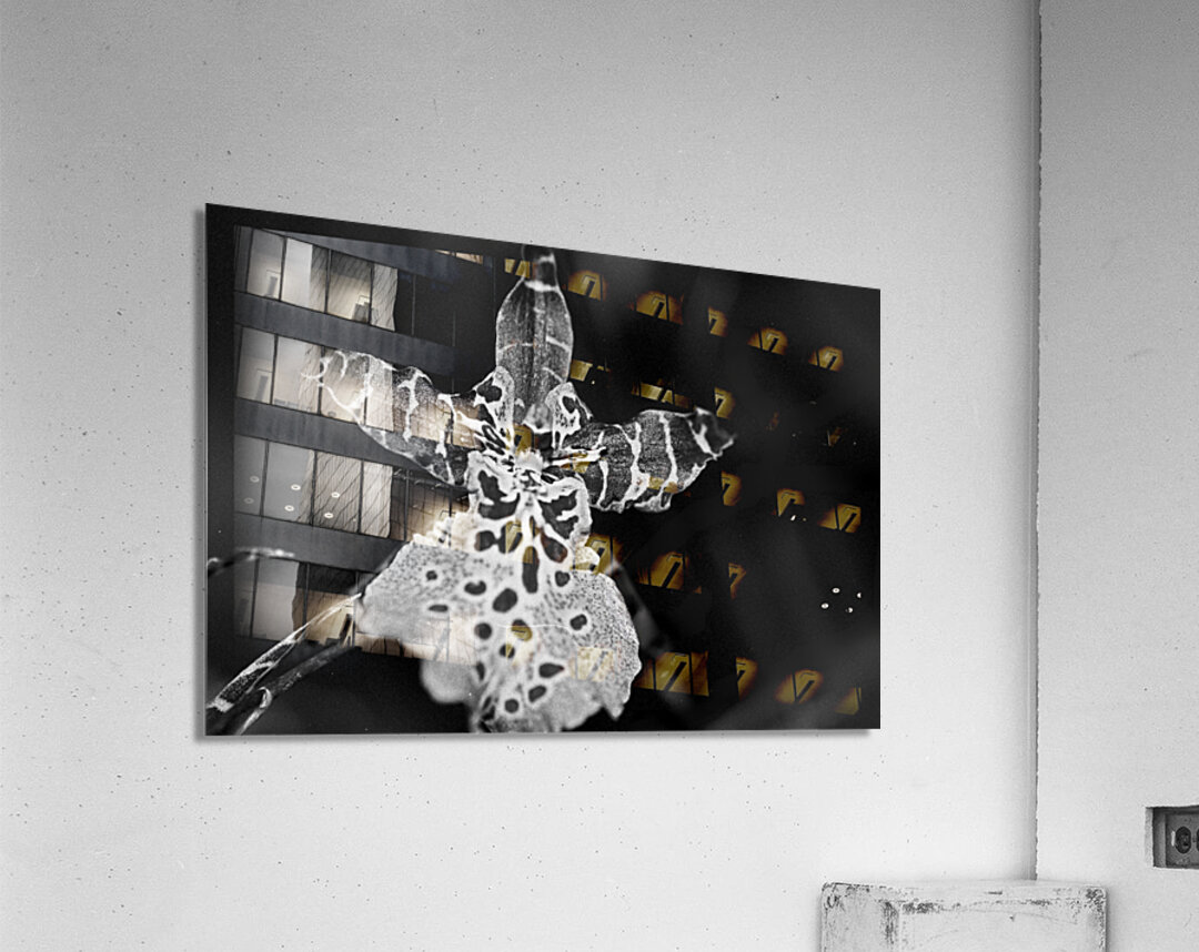 Spotted Orchid Acrylic Print