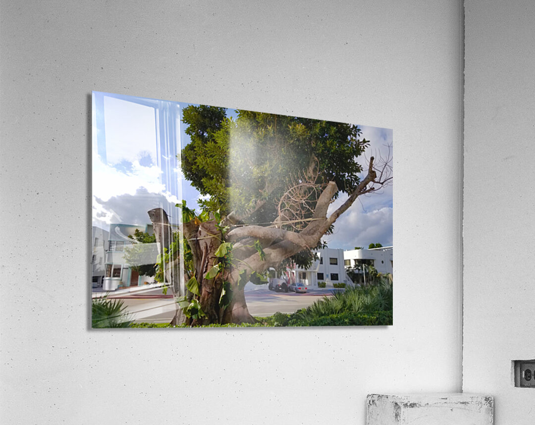 The Survivor Acrylic Print