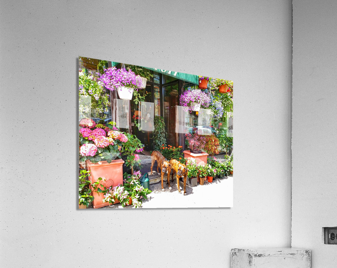 2 Dogs in the Flower Shop Acrylic Print