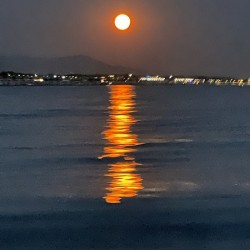 Full Moon At Sea