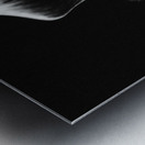 Black  White Floral Series 9 Metal print