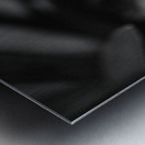 Black  White Floral Series 6 Metal print