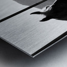 Horse amidst the mountains Metal print