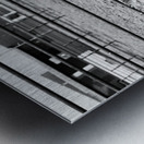 Magnificent Horse Pose 2 Metal print