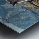 Horse and Mountains Metal print