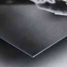 Black and White Orchid Series 21 Metal print