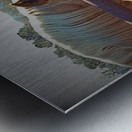 Horse Embrace  Metal print