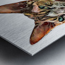 Meet Jack Metal print