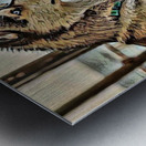 Niko Pomsky Metal print