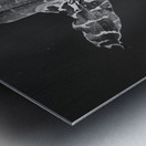 Clown Orchid Metal print