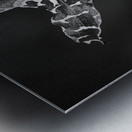 Spotted Orchid Metal print