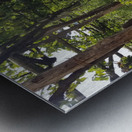 Amalfi vineyards Metal print