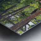 Capri Villas Metal print