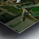 If Skeltons Could Talk Metal print