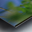 Orange Butterfly Having A Rest Metal print