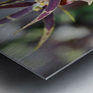 Striped Orchids Metal print