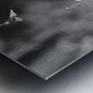 Black and White Orchid Series 1 Metal print