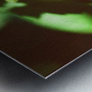 Butterfly With A Captured Beetle Metal print