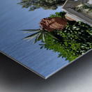 The Gates of Capri Series 2 Metal print