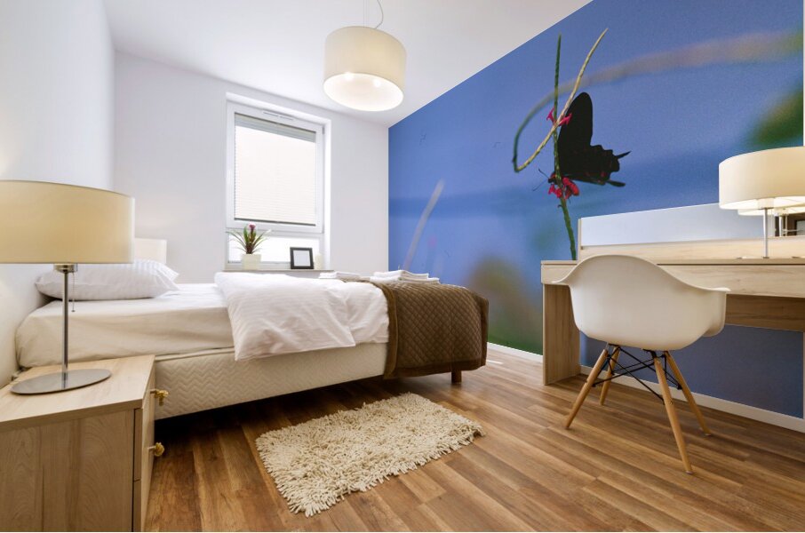 Black butterfly flower love Mural print