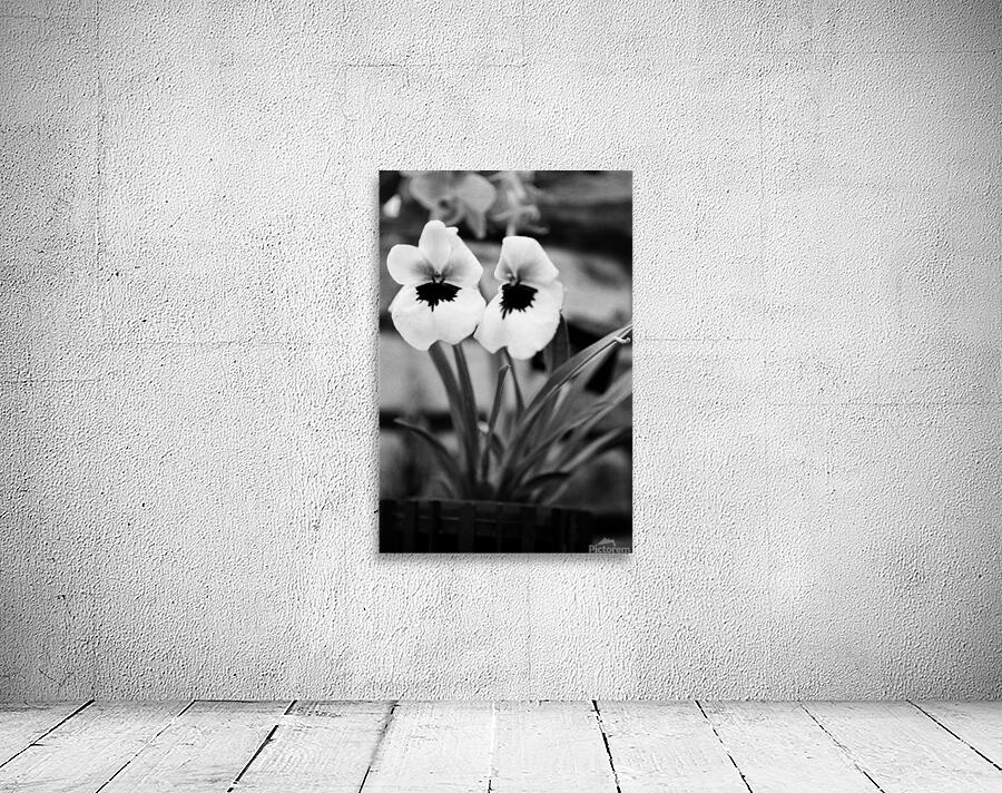 Black  White Floral Series - Double Trouble Wall Preview