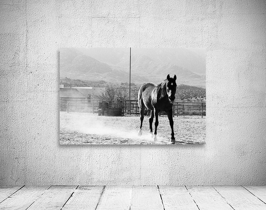 Black Horse Dust Wall Preview