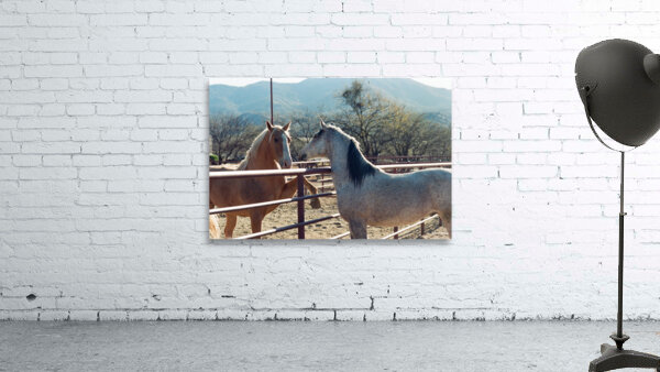 Horses connecting Wall Preview