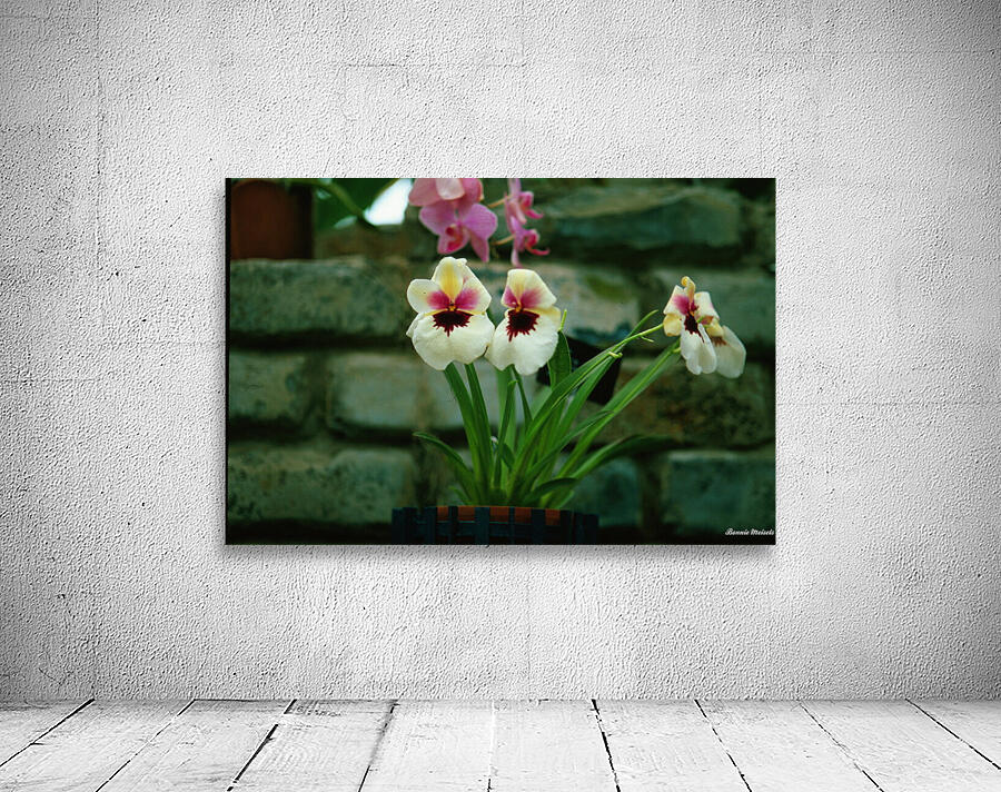 Twin Pansie Flowers Wall Preview